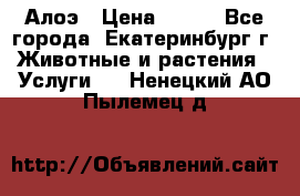 Алоэ › Цена ­ 150 - Все города, Екатеринбург г. Животные и растения » Услуги   . Ненецкий АО,Пылемец д.